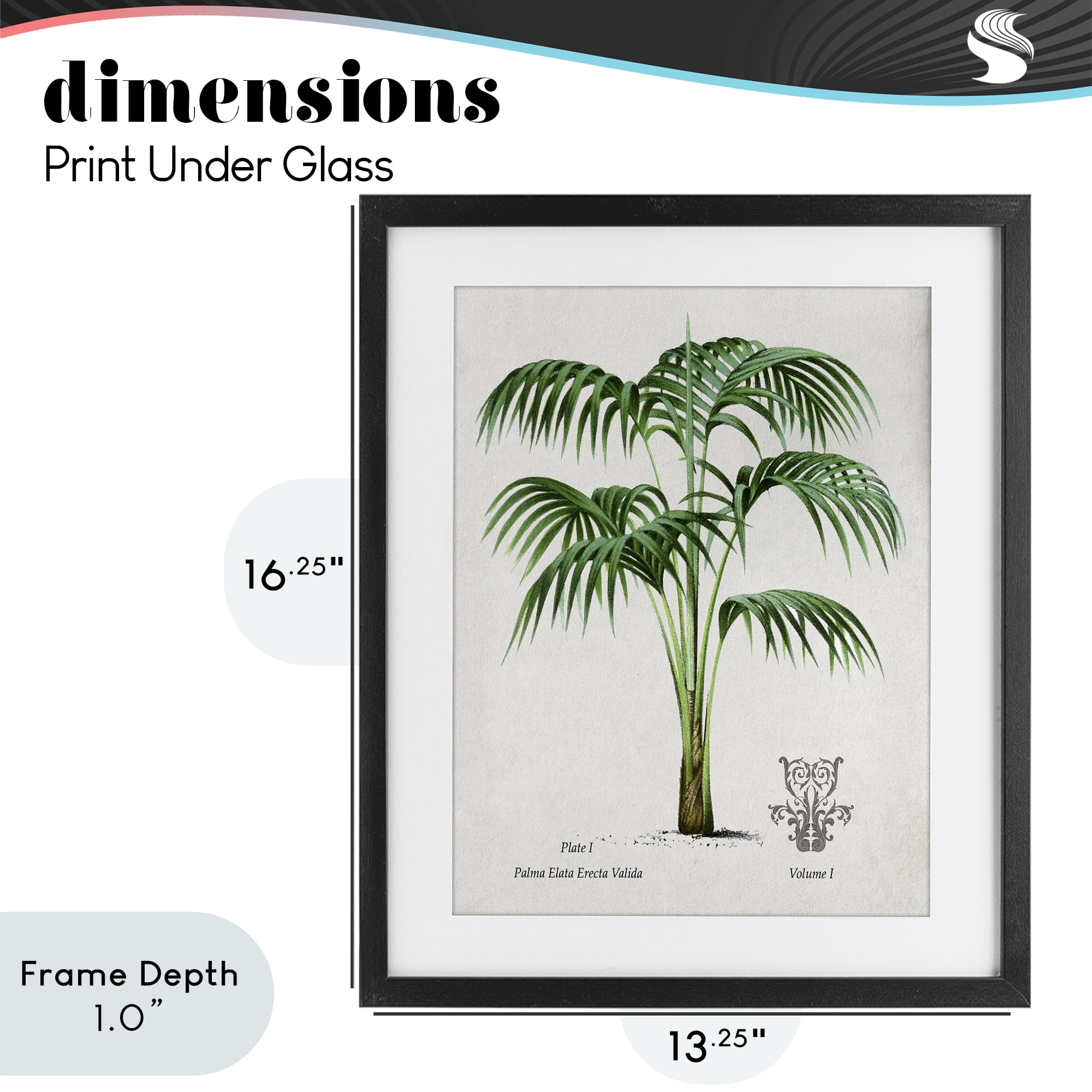 Stupell Industries Natural Palm Study Black Framed Print Under Glass, design by Val Rhodes
