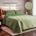 thumbnail image 2 of Colcha Ligera Pinsonic Doble Vista Dreamlab con 2 Fundas de Almohada, Edrecolcha Capitonada Reversible Ultrasuave, Edredón de verano, Queen Tape, Verde Seco y Verde Olivo, 2 of 9