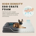 thumbnail image 7 of JOINSUN Extra Large Orthopedic Dog Bed, 42"x32" XL Sofa Bed with Egg Crate Foam Support, Machine Washable Cover, Gray, 7 of 7