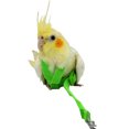 thumbnail image 4 of 2 Pieces of Parrot Flight Rope Strap Type Flying Rope Traction Rope Bird Walking Rope Out Training Rope Bird Supplies Pet Supplies (fluorescent green + pink), 4 of 5