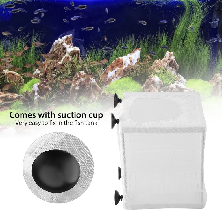 aqua box fish tank instructions Penn-Plax AN2 Nursery and Hatchery Breeding for Your Aquarium looking tank that is more resistant to scratches and fingerprints Aqua Dream 100 Gallon Tempered