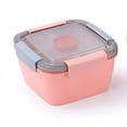 Lunch Box LeakProof Bento Box Salad Container With Dressing Container