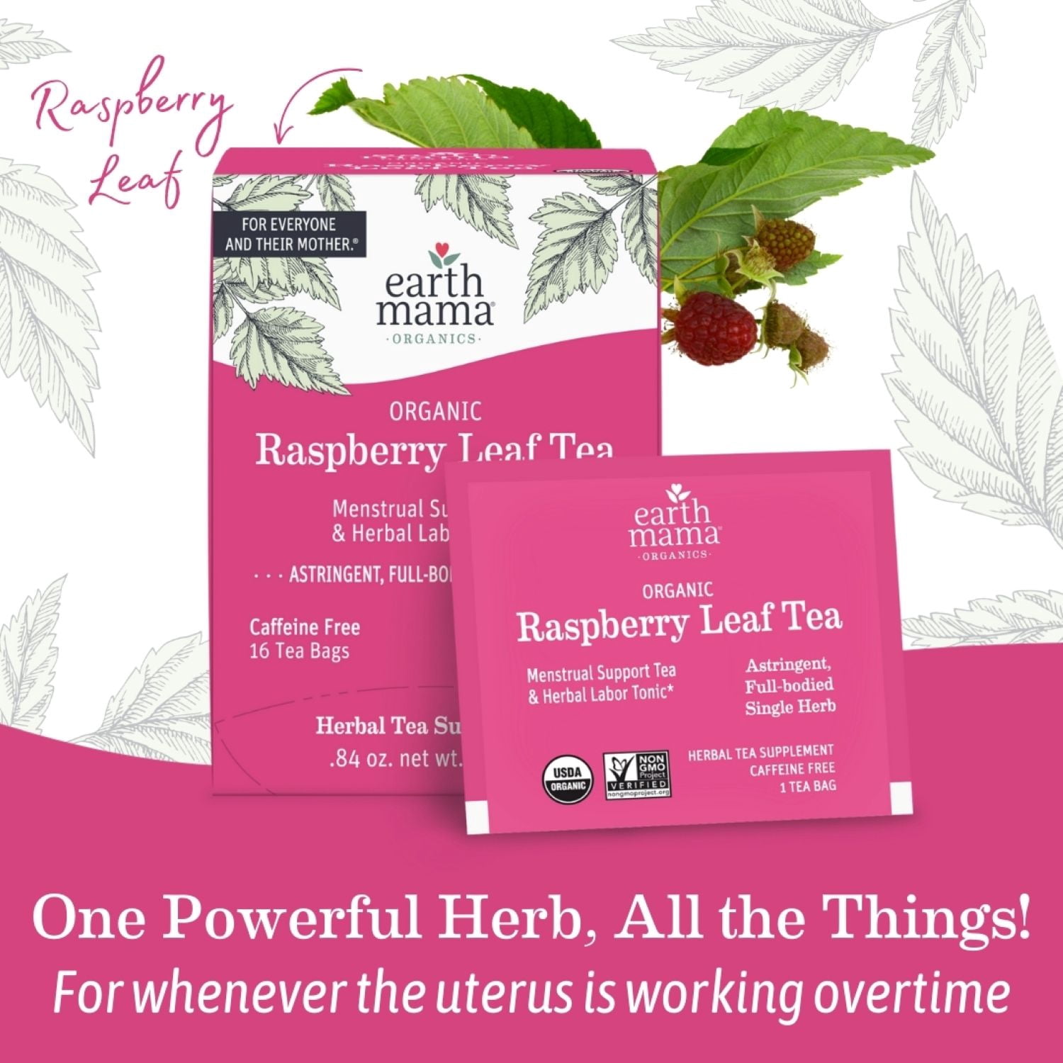 Earth Mama Organic Red Raspberry Leaf Tea for Pregnancy Herbal
