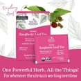 thumbnail image 4 of Earth Mama Organic Raspberry Leaf Tea, Herbal Tea for Labor Prep and Menstrual Support, 16 Tea Bags, 4 of 7