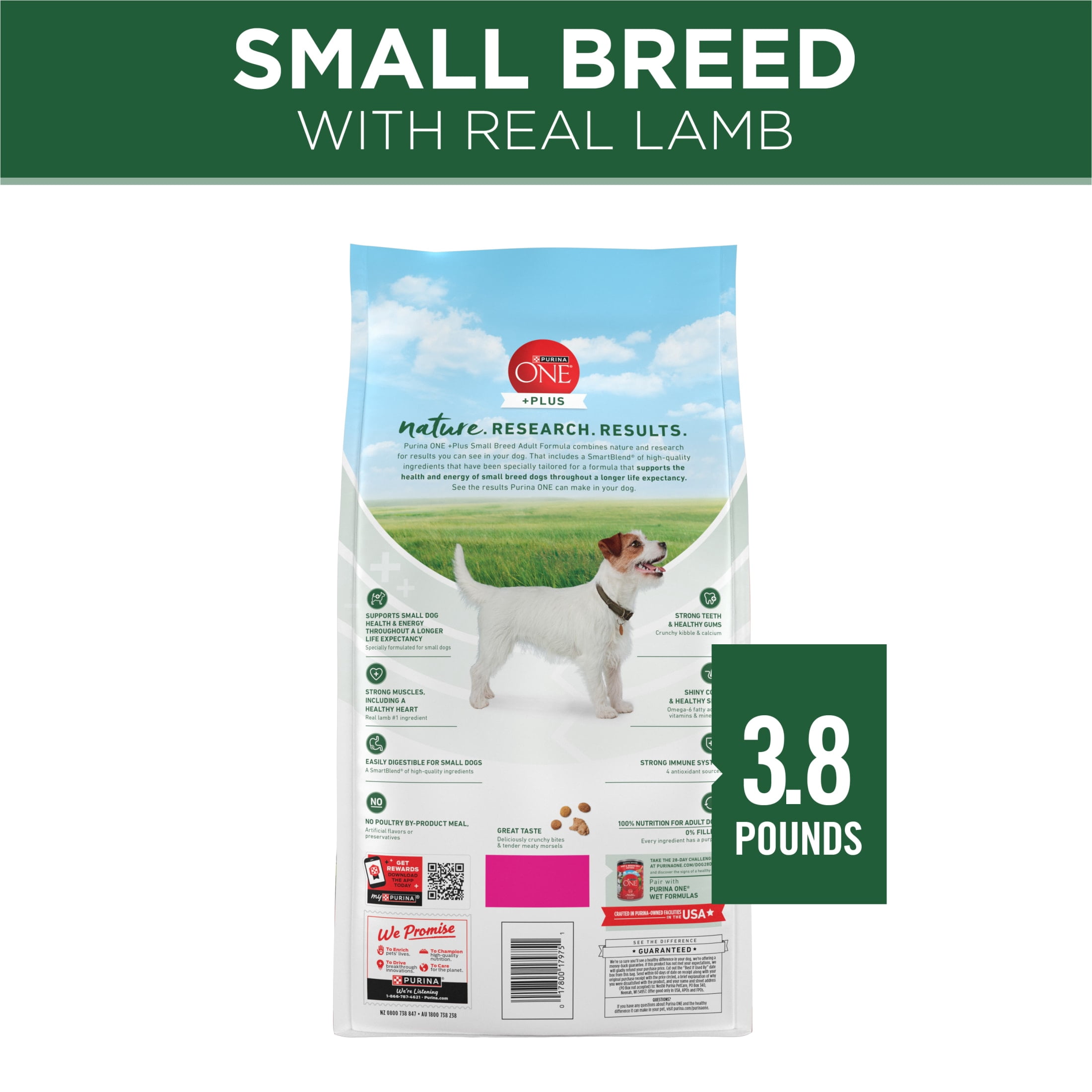 Purina ONE Plus Small Breed Lamb and Rice Formula Dry Dog Food, 3.8 lb.