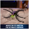 thumbnail image 5 of HEX BOTS Skitter Bot Spider, Robotic Toys for Kids Ages 5 and Up, Green, 5 of 8