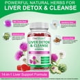 thumbnail image 5 of Liver Support Gummies, Liver Detox & Cleanse, Herbal Supplement with Milk Thistle, 60 Count, 5 of 10