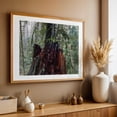 thumbnail image 5 of Untitled - Portland Oregon Photography Forest Nature Woodland Wilderness Scenic Foggy Moody Unframed Wall Art Print 24 x 36 inches, 5 of 7
