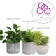 thumbnail image 4 of Lámpara LED de cultivo de espectro completo DC5V para plantas de interior, semillas, plantas y flores. Rosa violeta claro D, 4 of 8