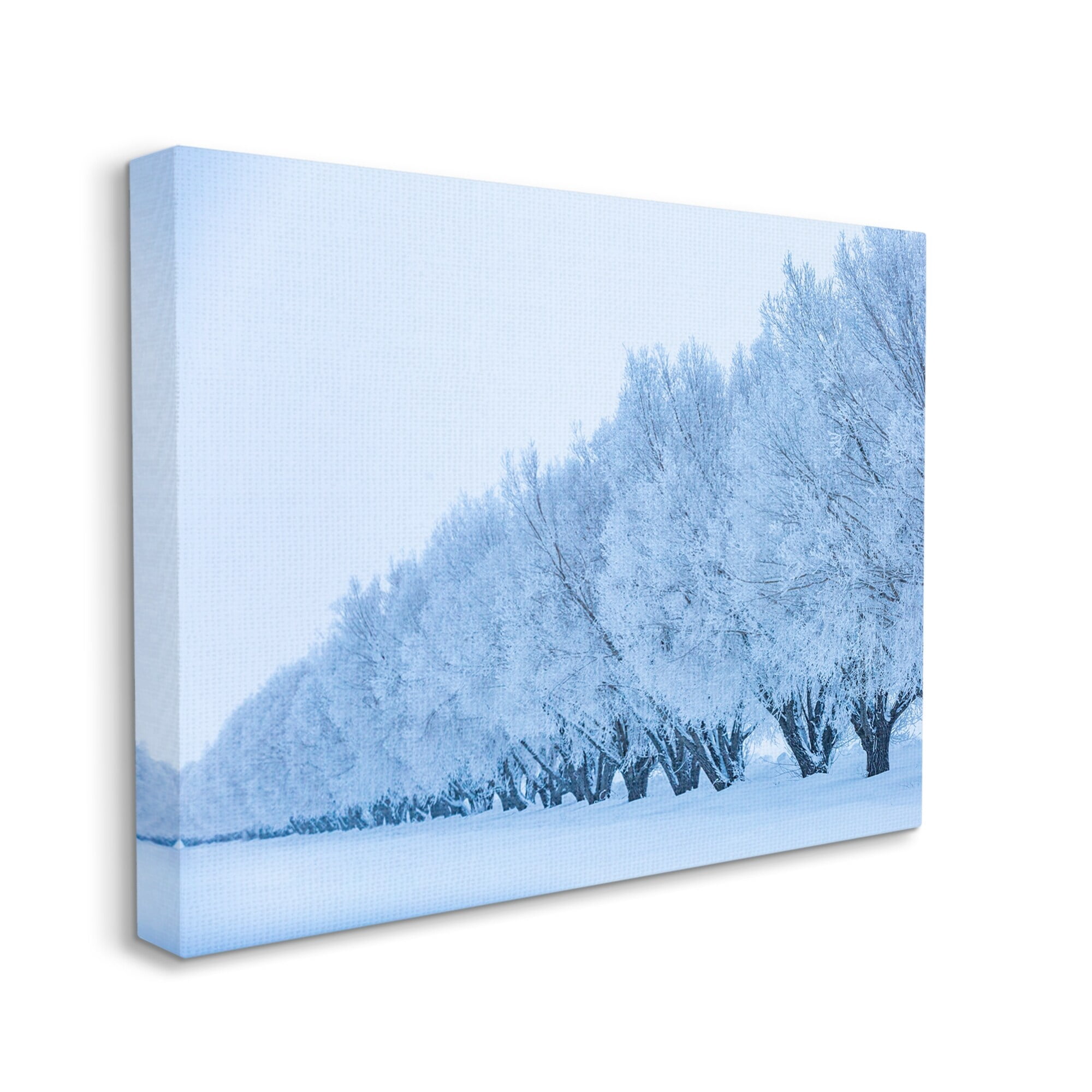 Stupell Industries Winter Tree Grove Snow Covered Branches Photography Photograph Gallery Wrapped Canvas Print Wall Art, Design by Steve Smith