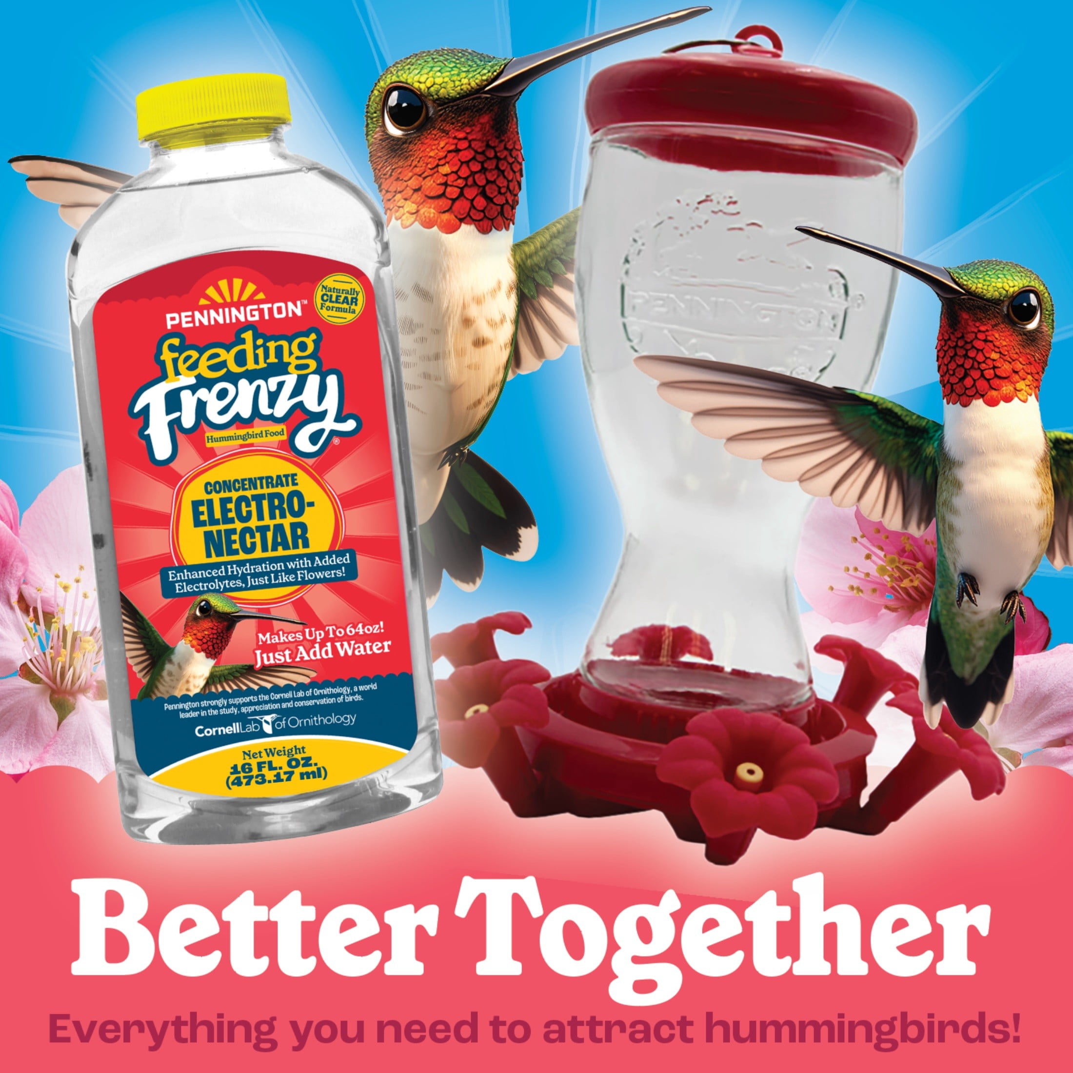 Pennington Hummingbird Feeder Starter Kit