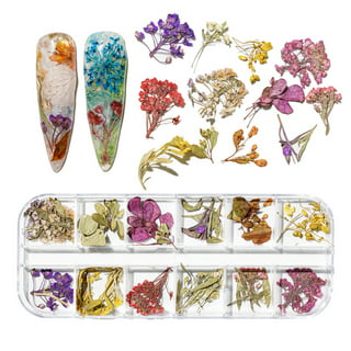 Deago 12 Colors Dried Flowers for Nail Art 3D Dry Flowers Nail Stickers Colorful Natural Real Flower Nail Decals Nail Art Supplies (Type C), Size: 5.1