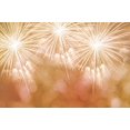 thumbnail image 2 of BSDHOME Polyester 7x5ft Bright Fireworks Photography Backdrop Cute Childreb Photo Background, 2 of 3