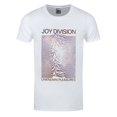 thumbnail image 1 of Joy Division - Camiseta Unknown Pleasures Degradado para Adultos Unisex (Blanco), 1 of 2
