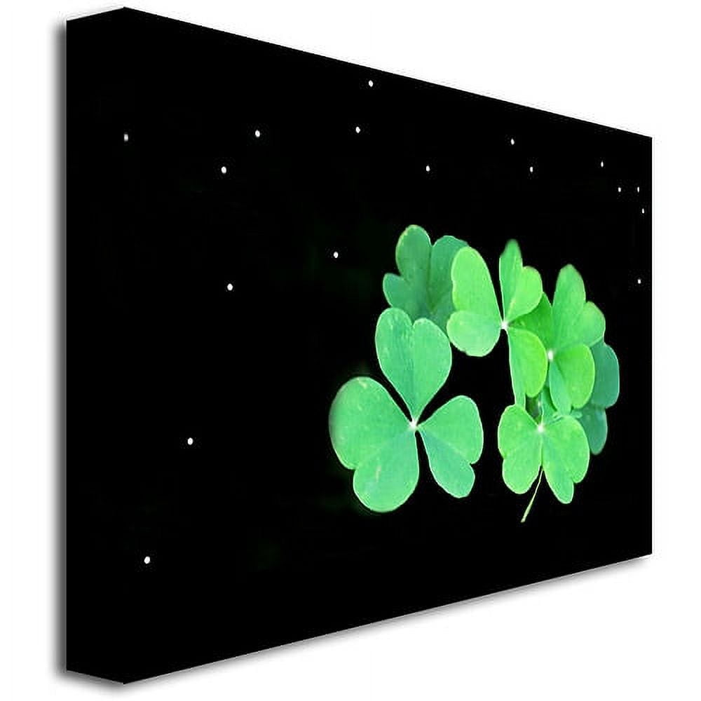Trademark Art "Clover" Canvas Wall Art by Kathie McCurdy