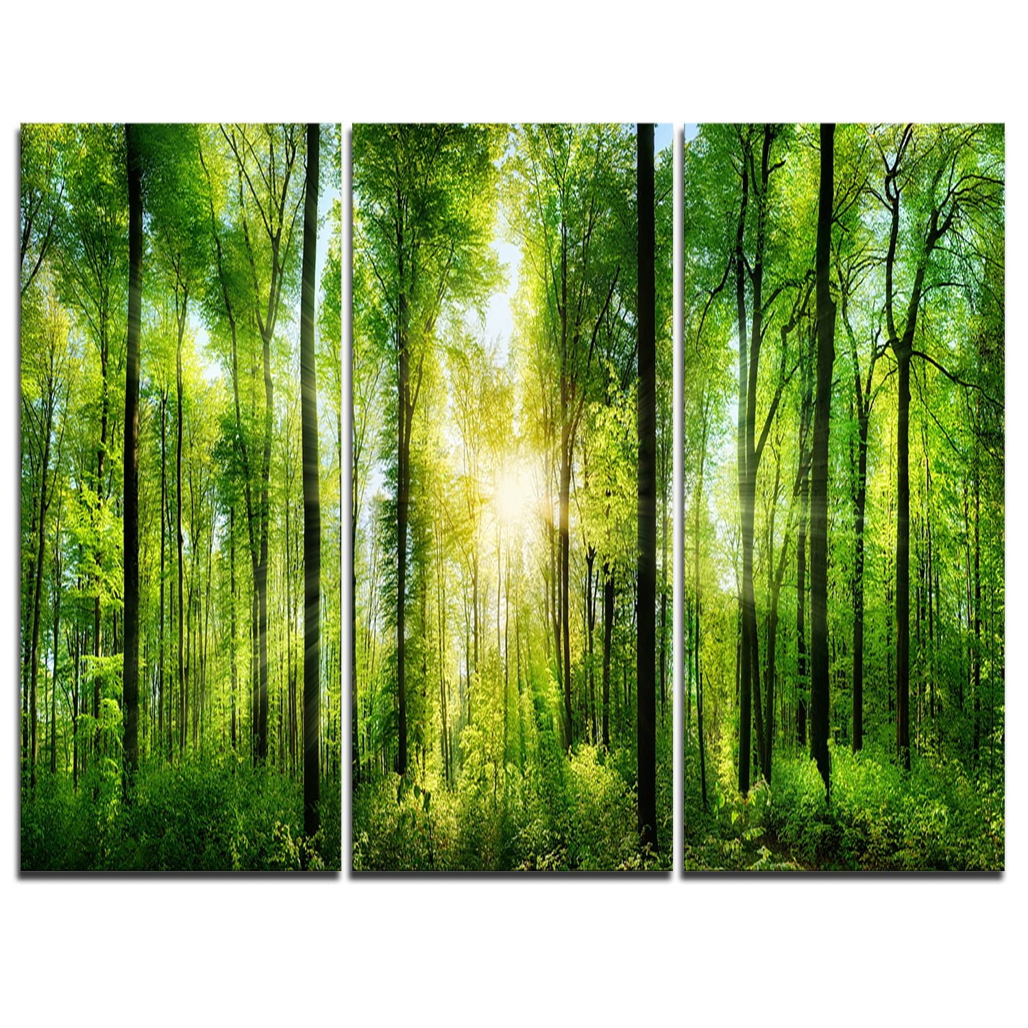 Design Art Forest with Rays of Sun Panorama Landscape Canvas Print