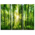 thumbnail image 1 of Design Art Forest with Rays of Sun Panorama Landscape Canvas Print, 1 of 2