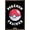 Bronze Framed Version, variant on Pokemon - Trainer Wall Poster, 14.725" x 22.375", Framed