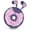 Purple, variant on QearFun Donut Earbuds for Kids, Cute Earbud & in-Ear Headphones Wired Gift for School Girls and Boys with Microphone and Lovely Earphones Storage Case