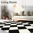 thumbnail image 2 of Flatwoven High Traffic Area Rug, Grid Checkerboard Farmhouse Style, Non Slip, Stain Resistant, Washable Area Rugs for Living Room, Bedroom(Black, 4X6), 2 of 8