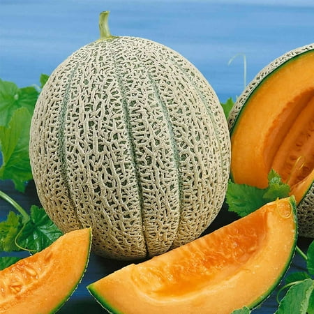 Cantaloupe Melon Garden Seeds - Hales Best Jumbo - 5 Lb Bulk - Non-GMO, Heirloom, Vegetable Gardening Seeds - (Best Small Vegetable Garden Plants)
