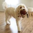 thumbnail image 4 of Juguete para Perros Ethical Pets Pollo Gigglers Multicolor, 4 of 16