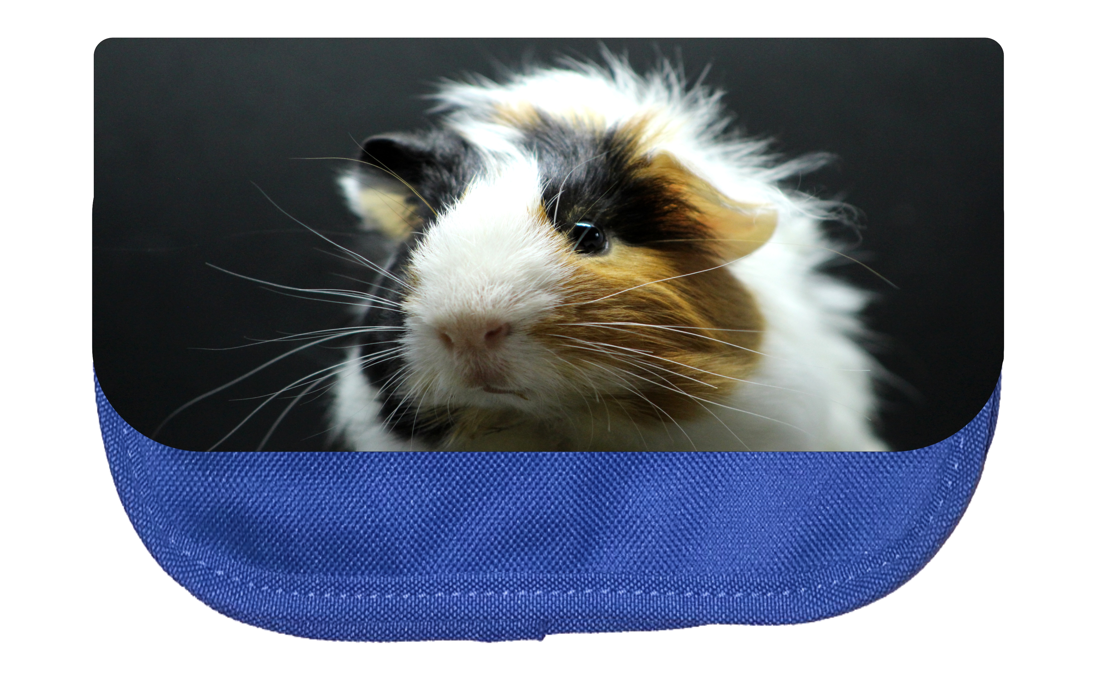Pencil Bag Animal Guinea Pig Pencil Pouch 2 Pocket Pencil Case