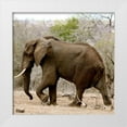 thumbnail image 3 of Dana Underdahl 26x26 White Modern Wood Framed Wall Art Titled - Elephant II, 3 of 5