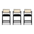 thumbnail image 2 of Natural Look from Resin Cane Back | Ideal for Casual Dining | Ergonomic Set of 3 Bar Stools, 2 of 4