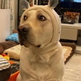 thumbnail image 3 of wefenad Orejas silenciosas para perros, orejeras para perros grandes, gorros de punto antirruido para perros, gorro de invierno cálido con cubierta para las orejas para perros media y grandes, co c8, 3 of 3