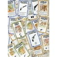 thumbnail image 3 of Bang! - la Balle!, 3 of 4
