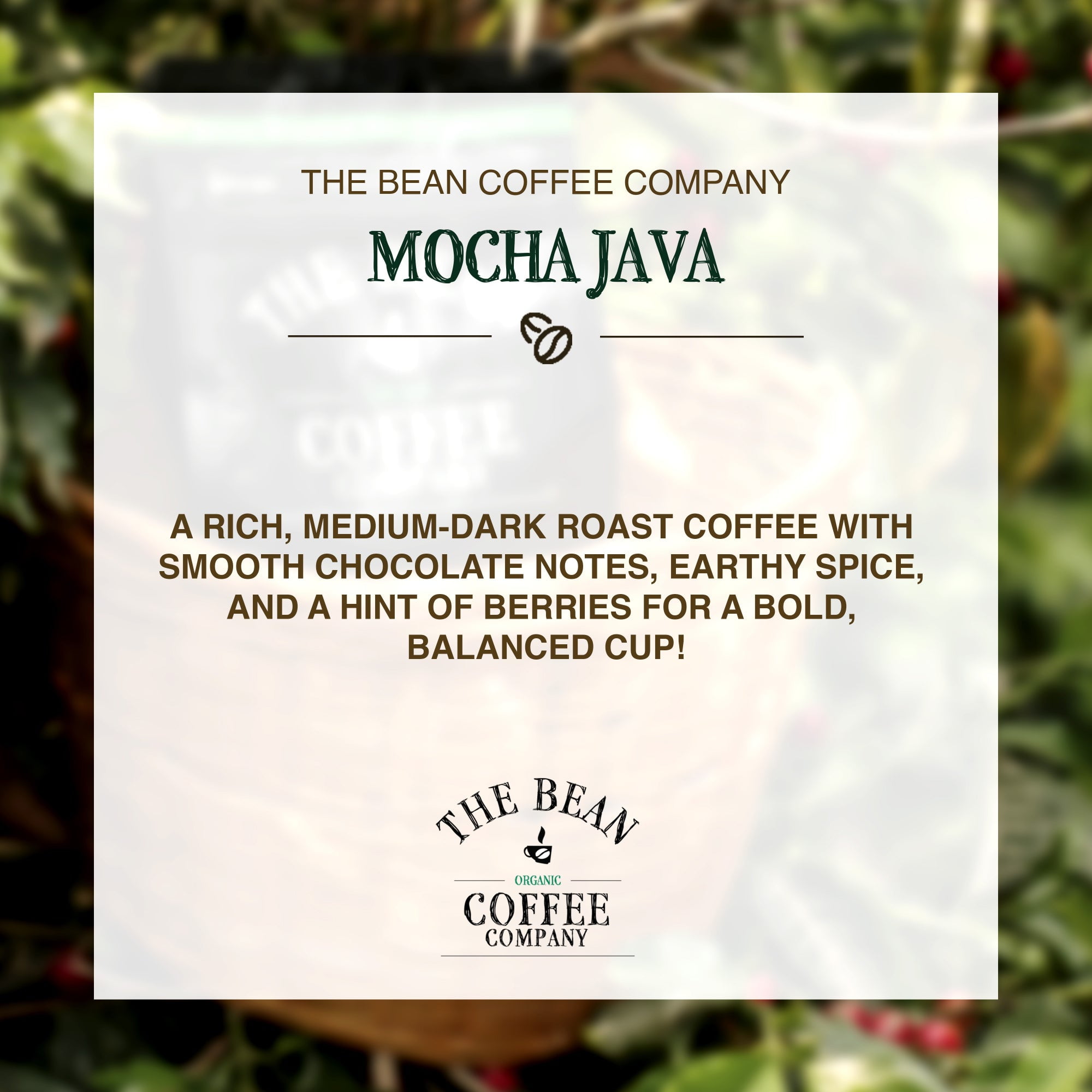 The Bean Organic Coffee Company Mocha Java, Medium Roast, Ground Coffee, 16-Ounce Bag