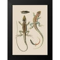 thumbnail image 2 of Unknown 14x18 Black Modern Framed Museum Art Print Titled - Antique Lizards II, 2 of 5