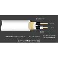 thumbnail image 2 of Ernie Ball - Cable para instrumentos, recto/recto, 6,1 m, color negro, 2 of 4
