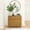Pecan, variant on Plank+Beam Classic 3-Drawer Dresser, Natural