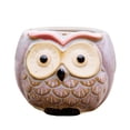 thumbnail image 2 of Succulent Plant Pot - Owl Pot Ceramic Flowing Glaze Base Cactus Plant Pot Flower Pot Container Planter with Drainage Hole Home Office Desk Garden Gift, 2 of 7