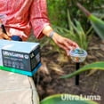 thumbnail image 2 of Ultraluma Solar Powered Disco (4 Lights), Color Changing LED Waterproof Landscape Path Light, 2 of 8