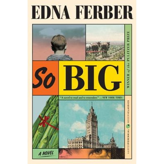 Pre-Owned So Big (Paperback) 0061859982 9780061859984