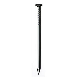 Grip-Rite 20D 4 in. Common Hot-Dipped Galvanized Steel Nail Flat Head 50 lb Grip-Rite 20D 4 in. Common Hot-Dipped Galvanized Steel Nail Flat Head 50 lb