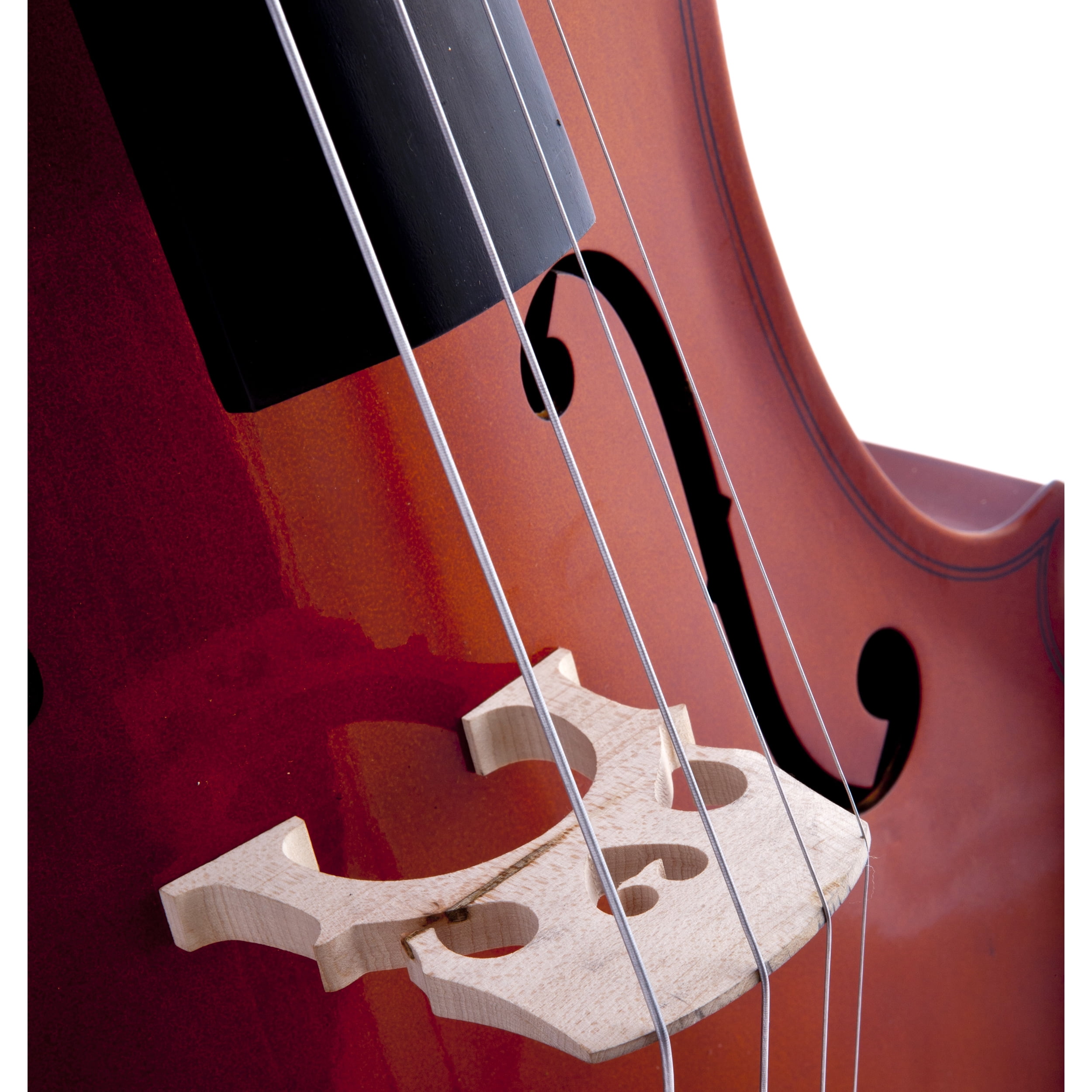 D'Luca Meister Student Cello Package 1/2 Size w/Stand, Bag, Tuner, Rosin & Bow