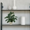 thumbnail image 5 of Mainstays 11in Indoor Artificial Plant in Pot, Green Peperomia., 5 of 5