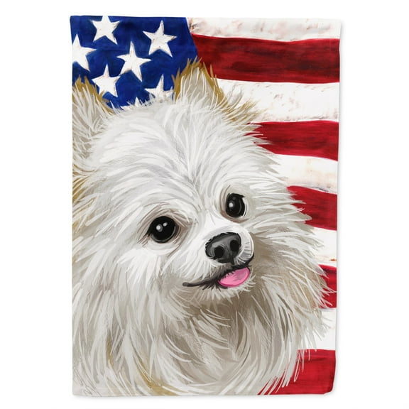 Carolines Treasures CK6581CHF Japanese Spitz American Canvas House Size outdoor-flags, Multicolor