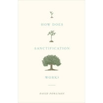 How Does Sanctification Work?, (Paperback)