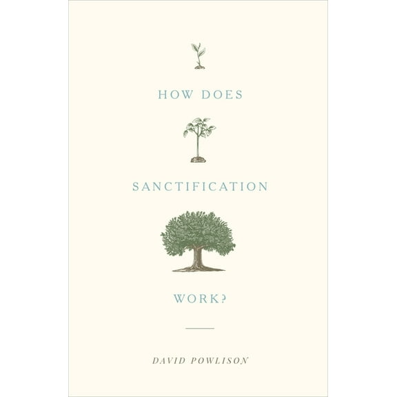 How Does Sanctification Work?, (Paperback)