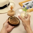 thumbnail image 4 of Cloche Glass Dome, 3.5" x 5" Glass Display Bell Jar, Glass Dome Cloche with Light Brown Base for DIY Flower Craft, 4 of 7