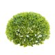 thumbnail image 3 of Plantas Artificiales en Artificial Topiario Árbol Artificial Árbol Falso Flor de Hierba Verde Fresca para Decoración Del H Verde 27cm Baoblaze Bola artificial del Topiary, 3 of 8