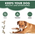 thumbnail image 3 of Antos 100% Natural SPLIT Antler Dog Chews The Hypo-Allergenic Dog Chew Like Stagbar Weight - Small 30-50g, Size May Vary, 3 of 6