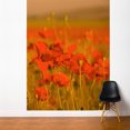 thumbnail image 1 of ADZif Fresk Field of Poppies Wall Mural, 1 of 5