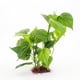 thumbnail image 1 of Acuario de plástico Artificial, pecera decorativa acuática verde, planta de hoja de loto, hierba ondulada, 24cm Rojo Verde, 1 of 5