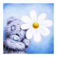 thumbnail image 1 of Cuadros Decorativos 5D bricolaje completo taladro diamante pintura oso punto de cruz bordado mosaico Kit Ehuebsd Nuevos Originales, 1 of 8